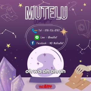Cover – จำหน่ายวอลเปเปอร์ติดผนังราคาถูก | Walloutlet
