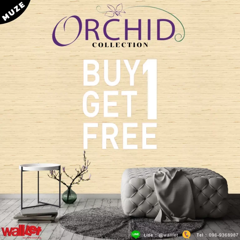 1 FREE 1 ORCHID Collection (MUZE)