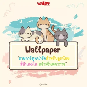 Cover – จำหน่ายวอลเปเปอร์ติดผนังราคาถูก | Walloutlet